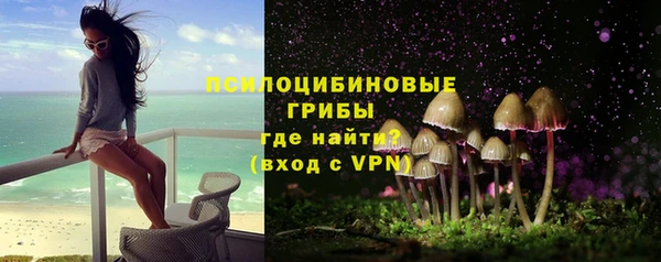 прущая мука Осинники