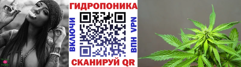блэк спрут зеркало  Краснозаводск  Канабис семена 